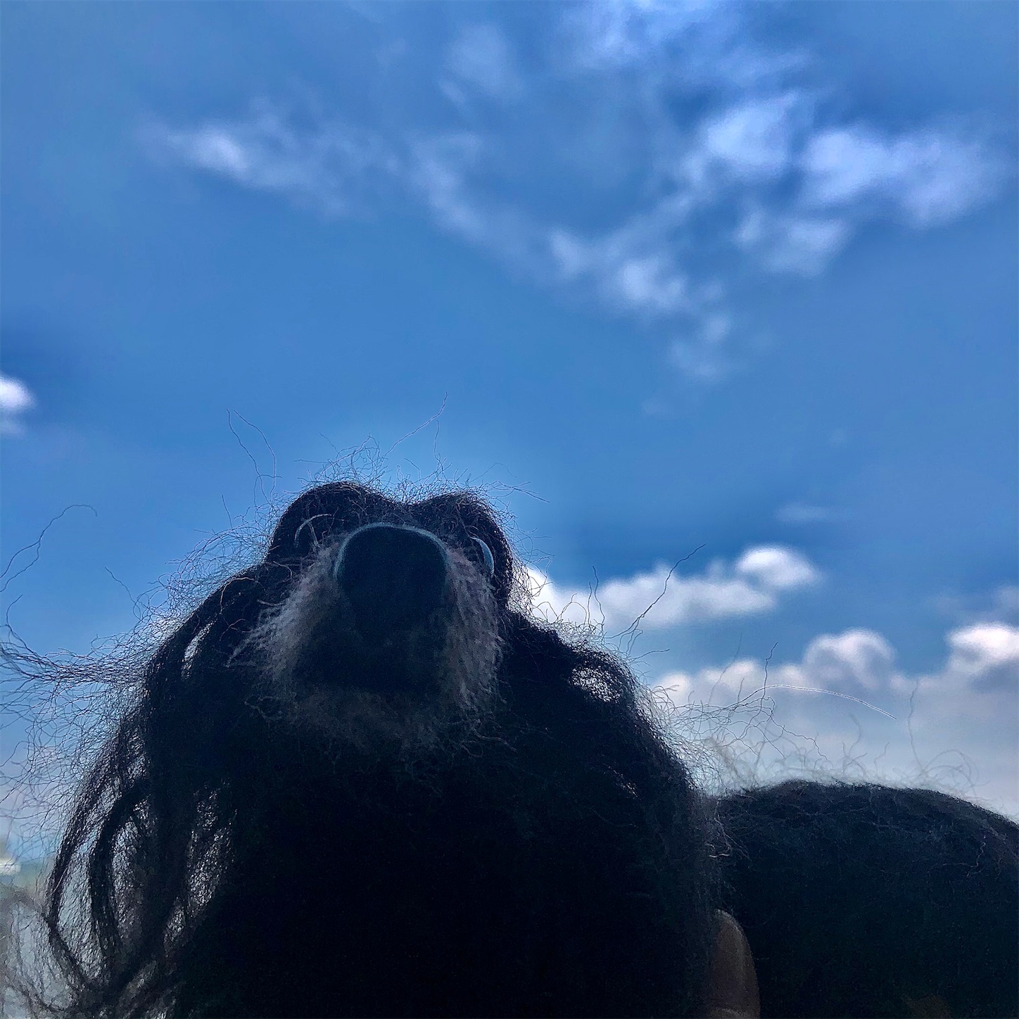 f:id:decobocode:20200719143228j:image