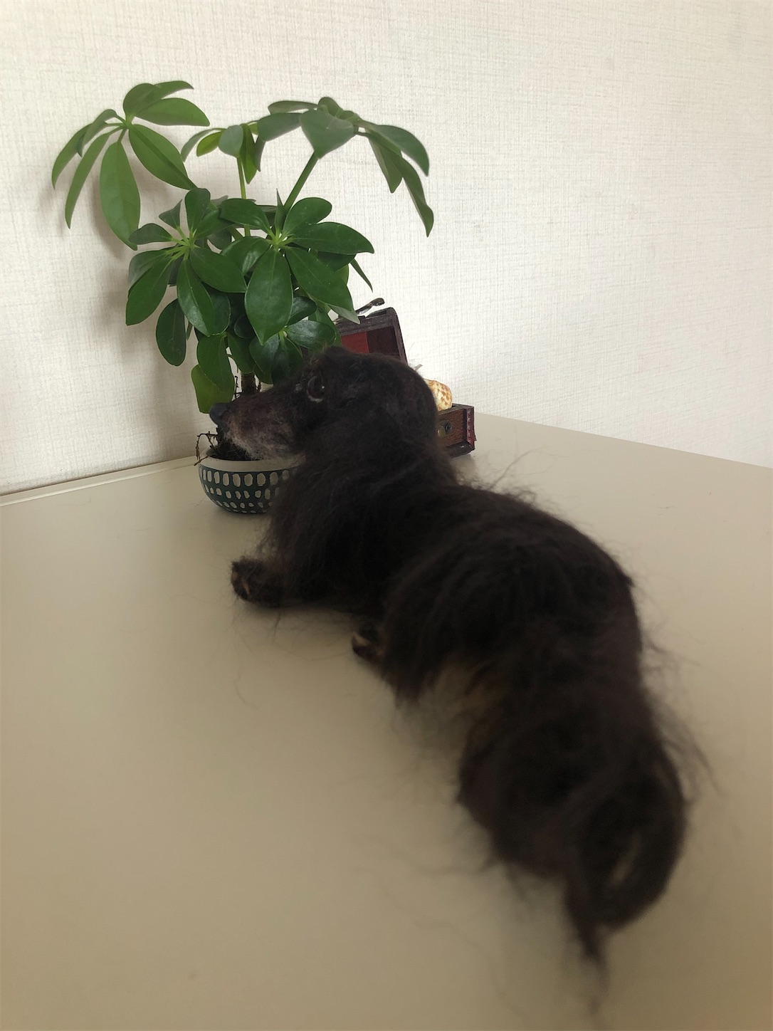 f:id:decobocode:20200719143335j:image