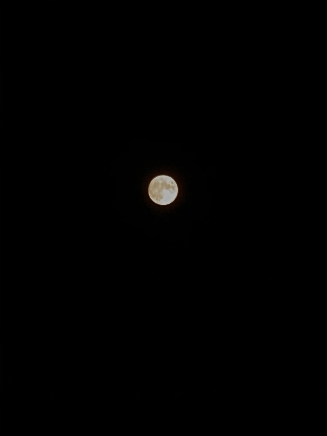 f:id:decobocode:20200805182414j:image