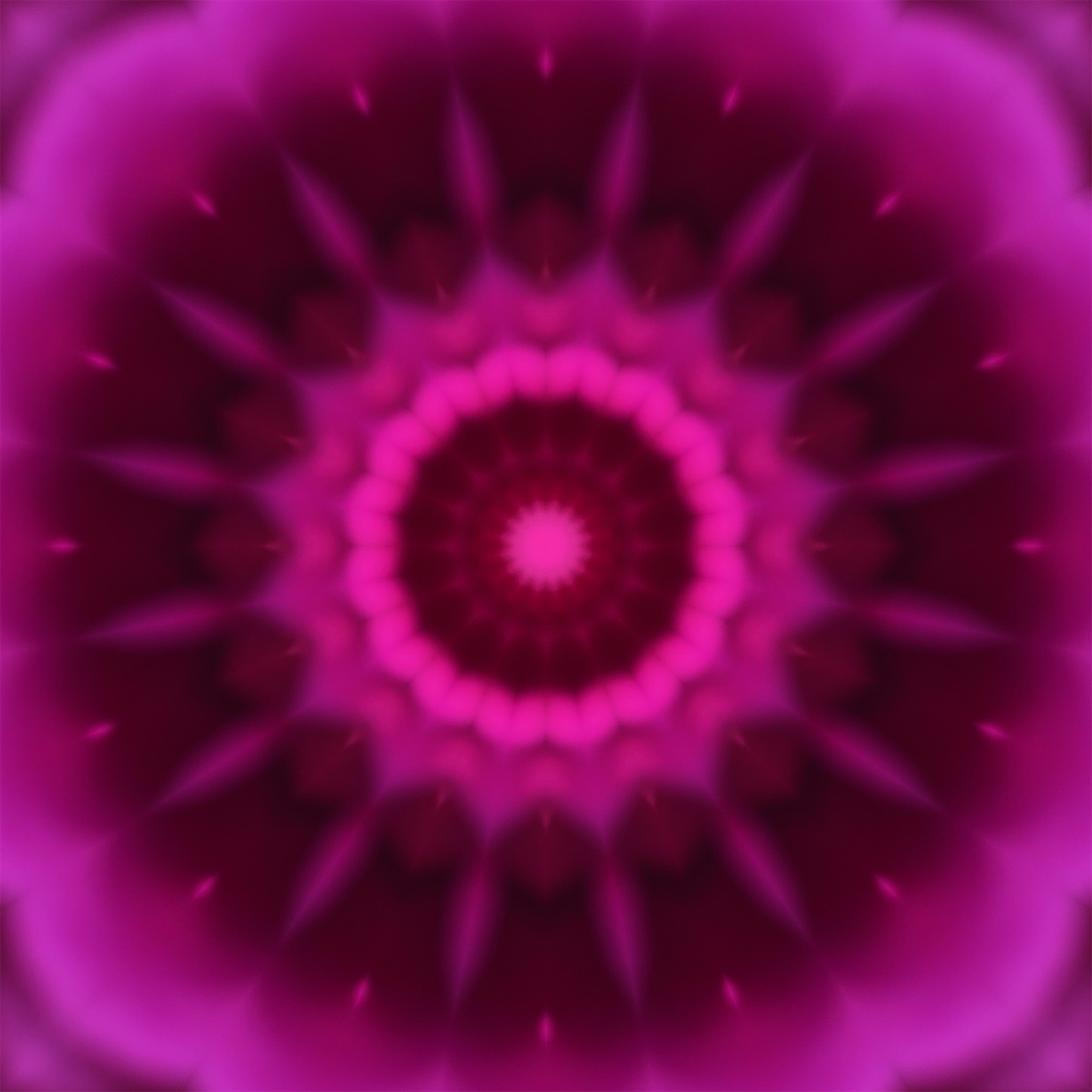 f:id:decobocode:20201015005441j:image