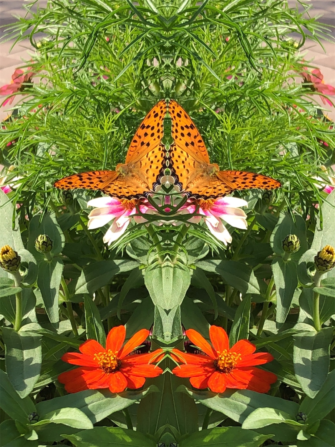 f:id:decobocode:20201015011955j:image