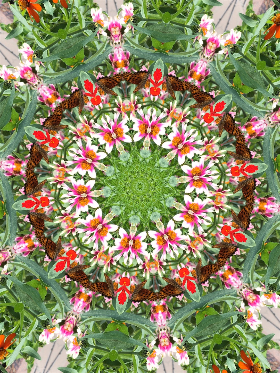 f:id:decobocode:20201015012708j:image