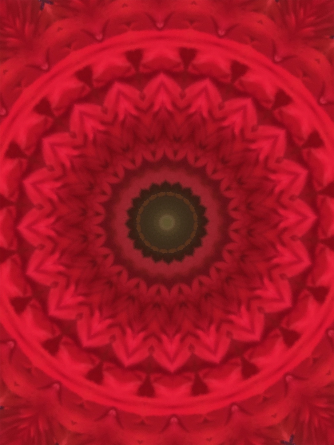 f:id:decobocode:20210128161024j:image