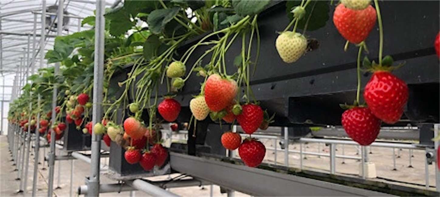 f:id:decobocode:20220401172859j:image