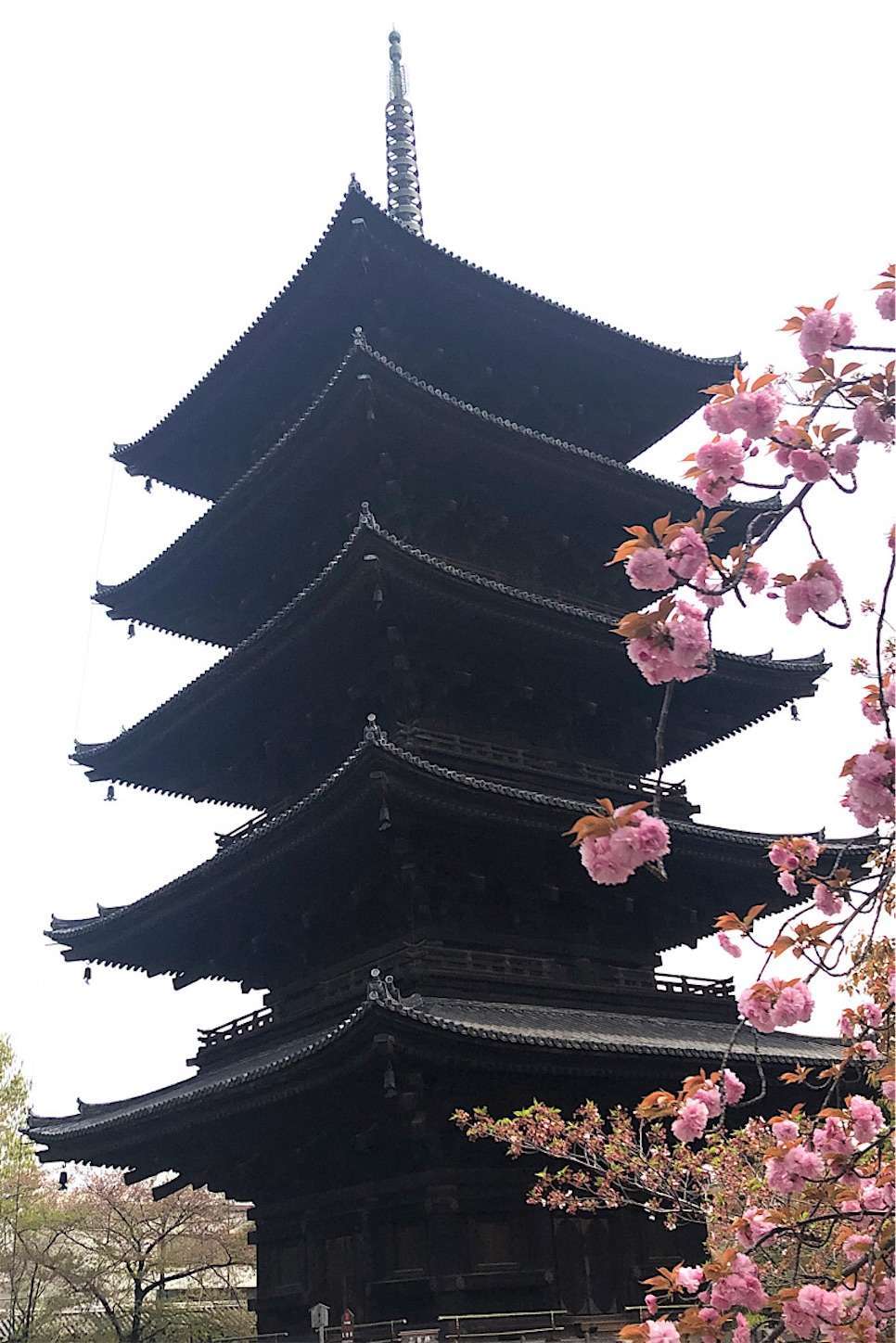 f:id:decobocode:20220416152405j:image