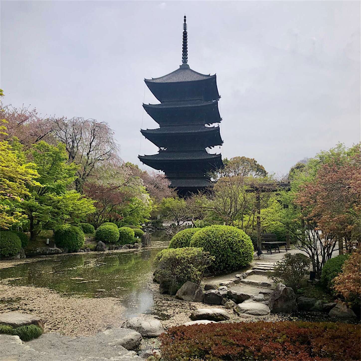 f:id:decobocode:20240420160755j:image