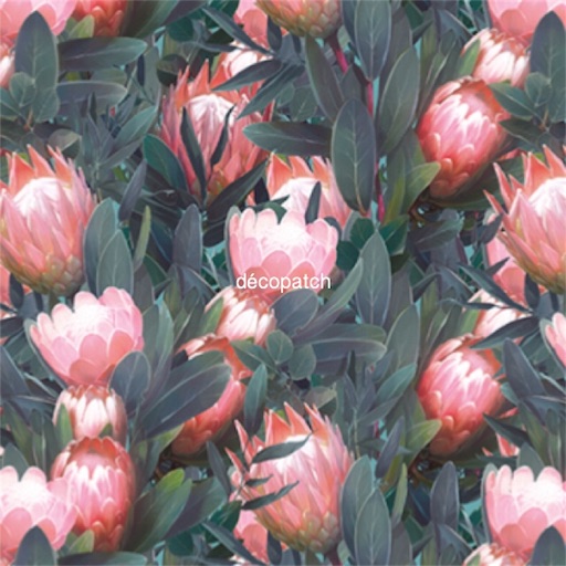 f:id:decopatch:20180907230936j:image f:id:decopatch:20180907230936j:image