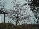 050408 1236~01