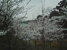 050408 1339~01