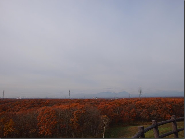 PB022972_R PB022972_R