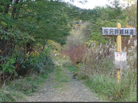 DSC02112_50V