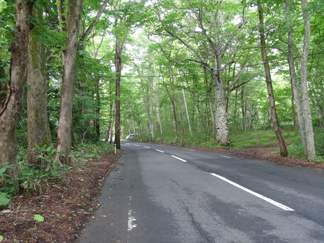 f:id:decosuke:20180718095224j:plain f:id:decosuke:20180718095224j:plain