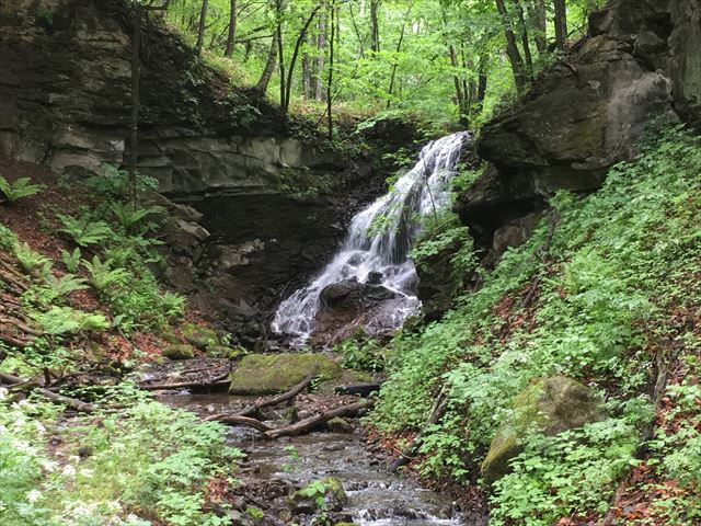 f:id:decosuke:20190609211834j:plain