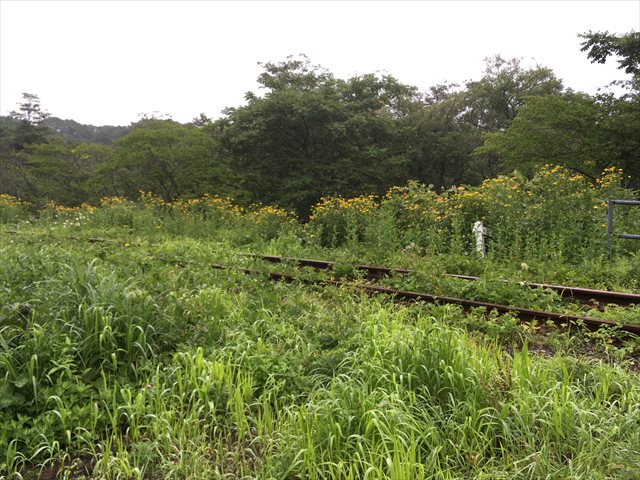 f:id:decosuke:20190815075020j:plain