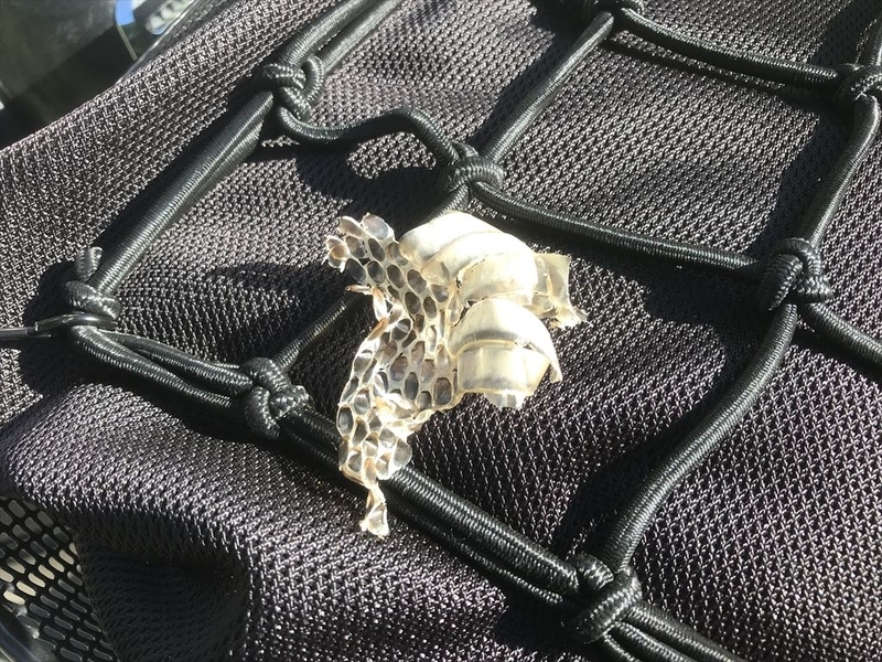 f:id:decosuke:20200823205919j:plain