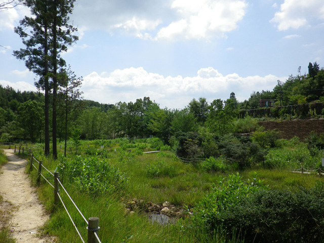 f:id:decrow:20110812160809j:image:right:w200 f:id:decrow:20110812160809j:image:right:w200