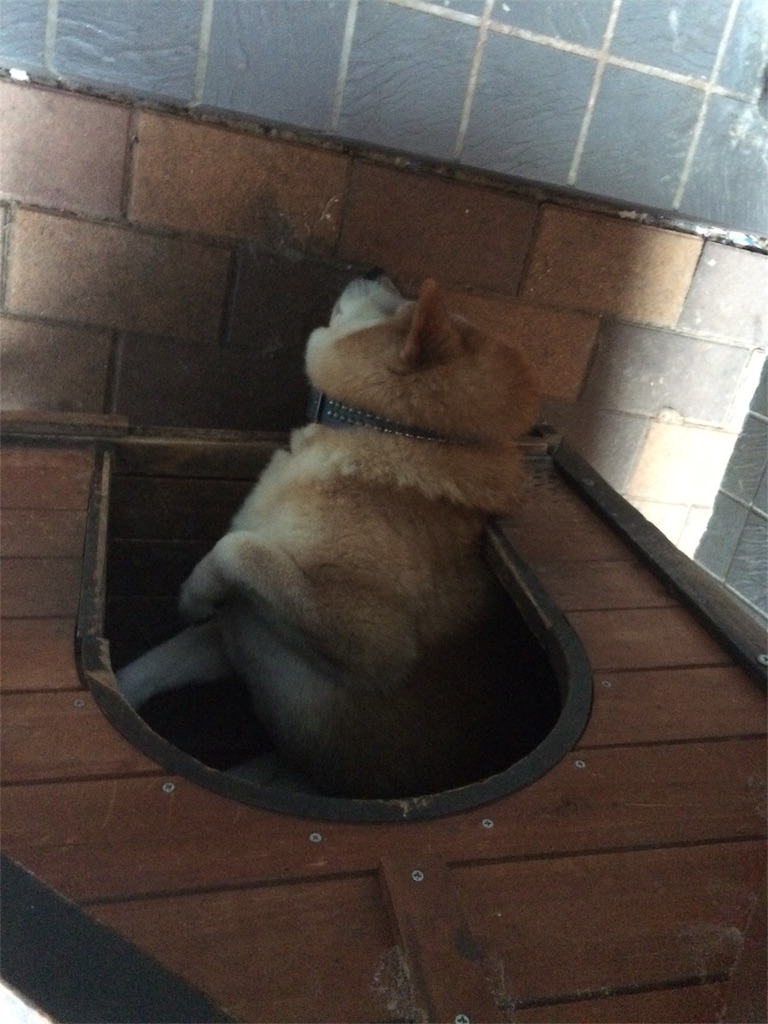 f:id:deebtomy8823:20171016074030j:image