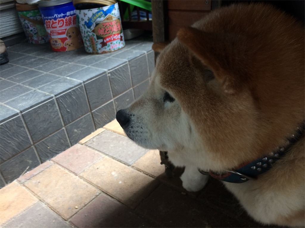 f:id:deebtomy8823:20171018125846j:image