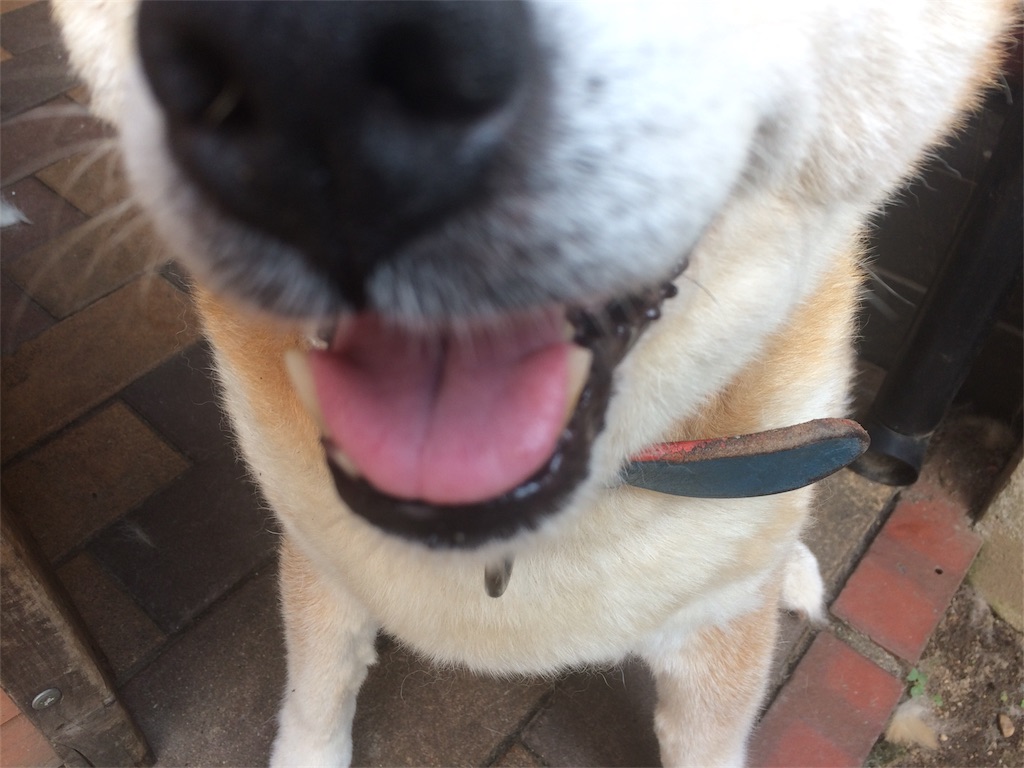 f:id:deebtomy8823:20171018152523j:image