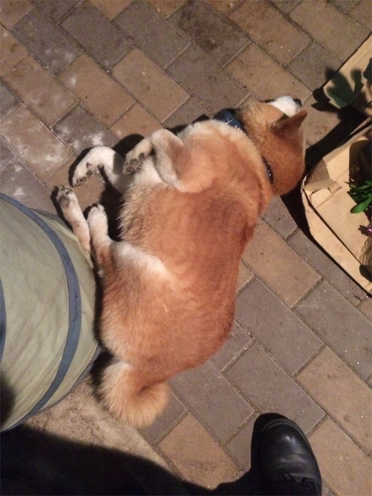 f:id:deebtomy8823:20171021070604j:image