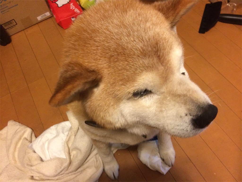 f:id:deebtomy8823:20171022213800j:image