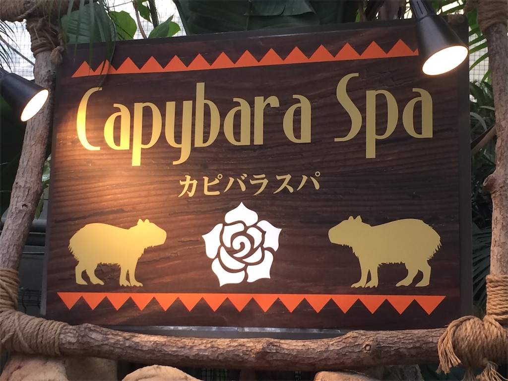 f:id:deebtomy8823:20180201150404j:image