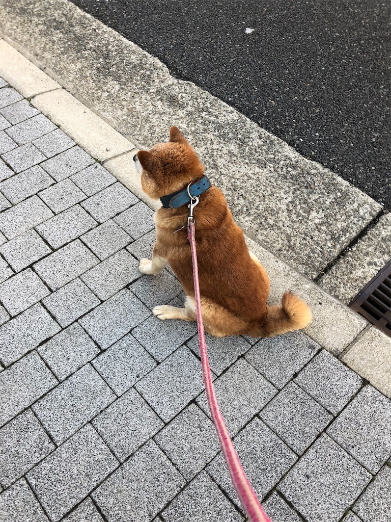 f:id:deebtomy8823:20180317191138j:image
