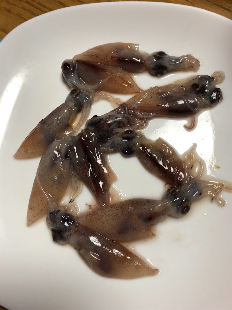 f:id:deebtomy8823:20180331204335j:image