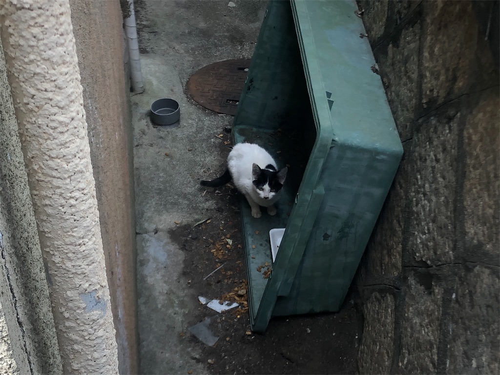 f:id:deebtomy8823:20191211164713j:image