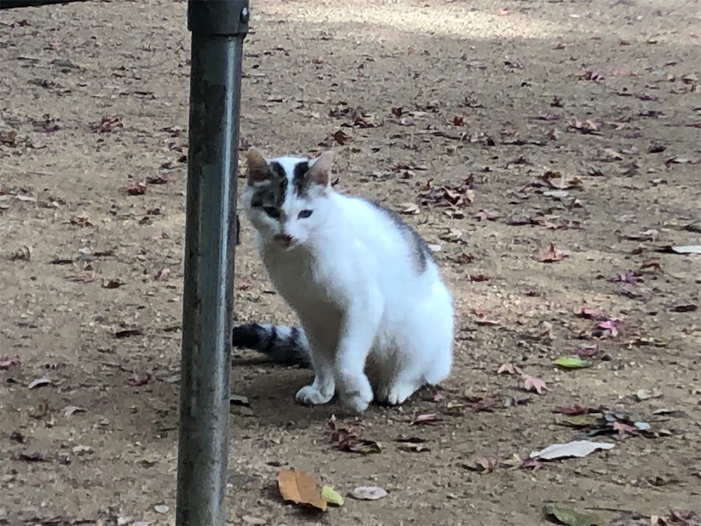 f:id:deebtomy8823:20191221192607j:image