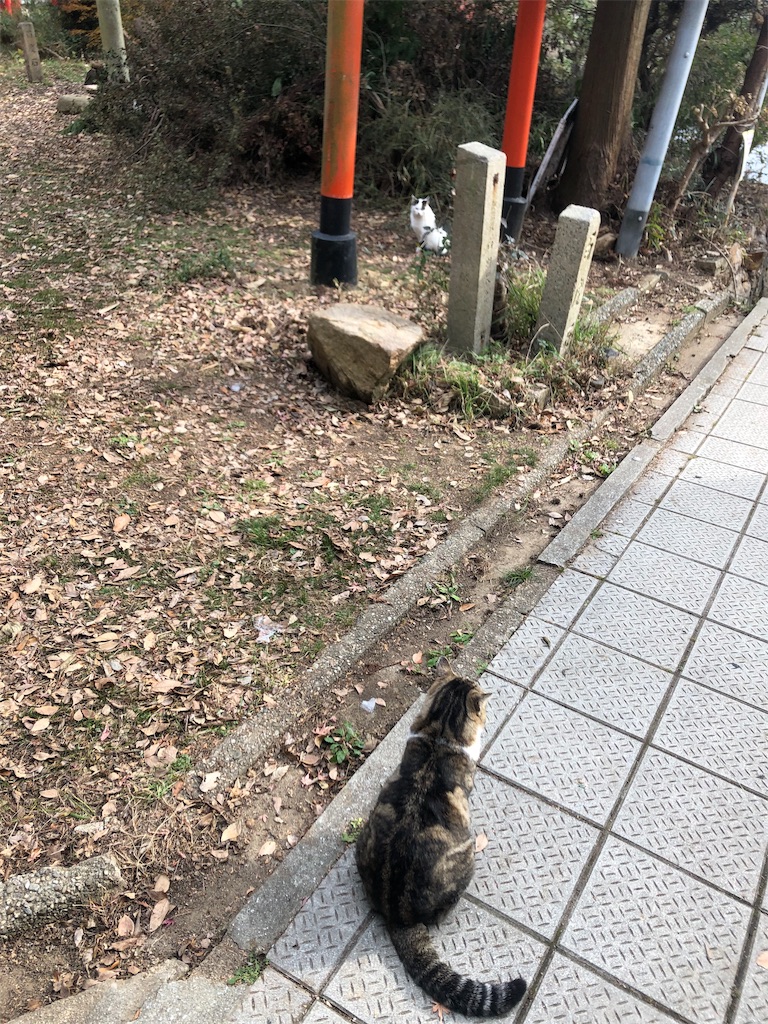 f:id:deebtomy8823:20191222094323j:image