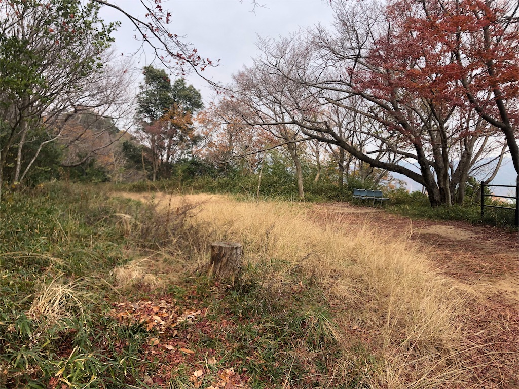 f:id:deebtomy8823:20191222094600j:image
