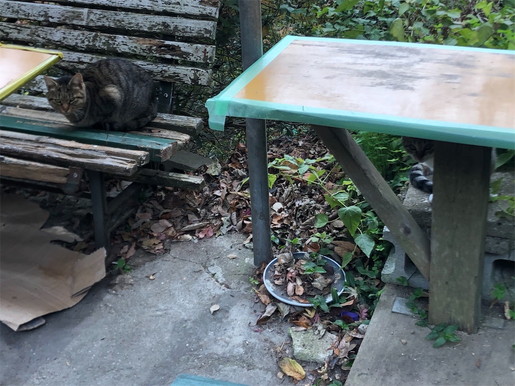 f:id:deebtomy8823:20191222094845j:image
