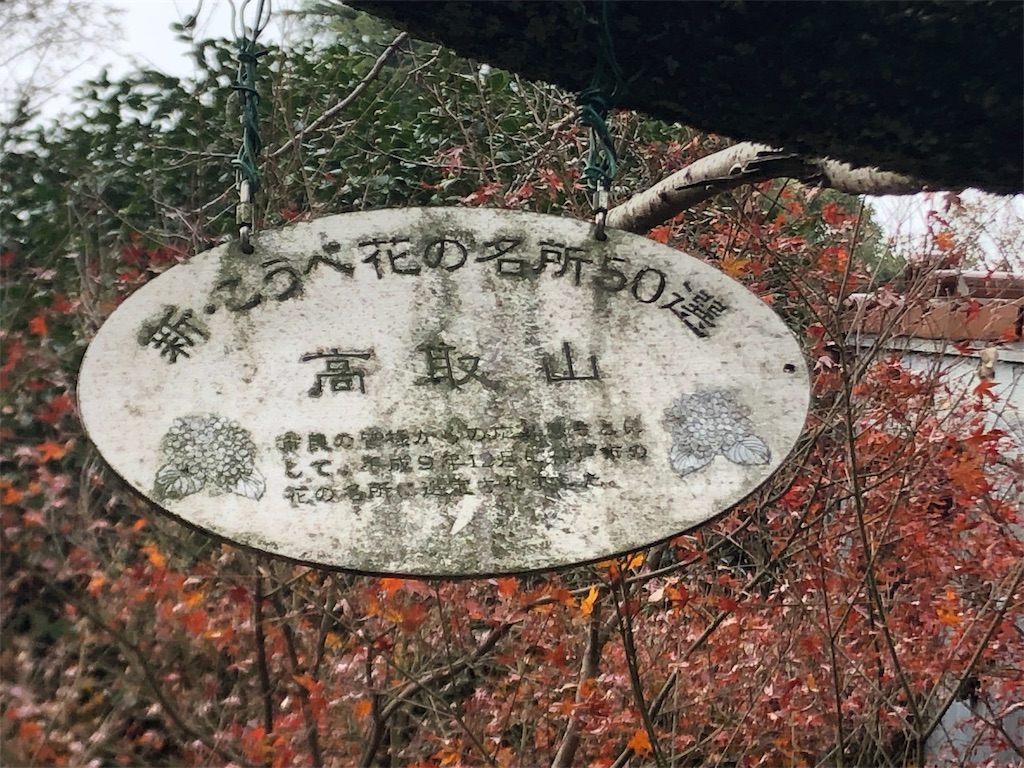 f:id:deebtomy8823:20191222094942j:image
