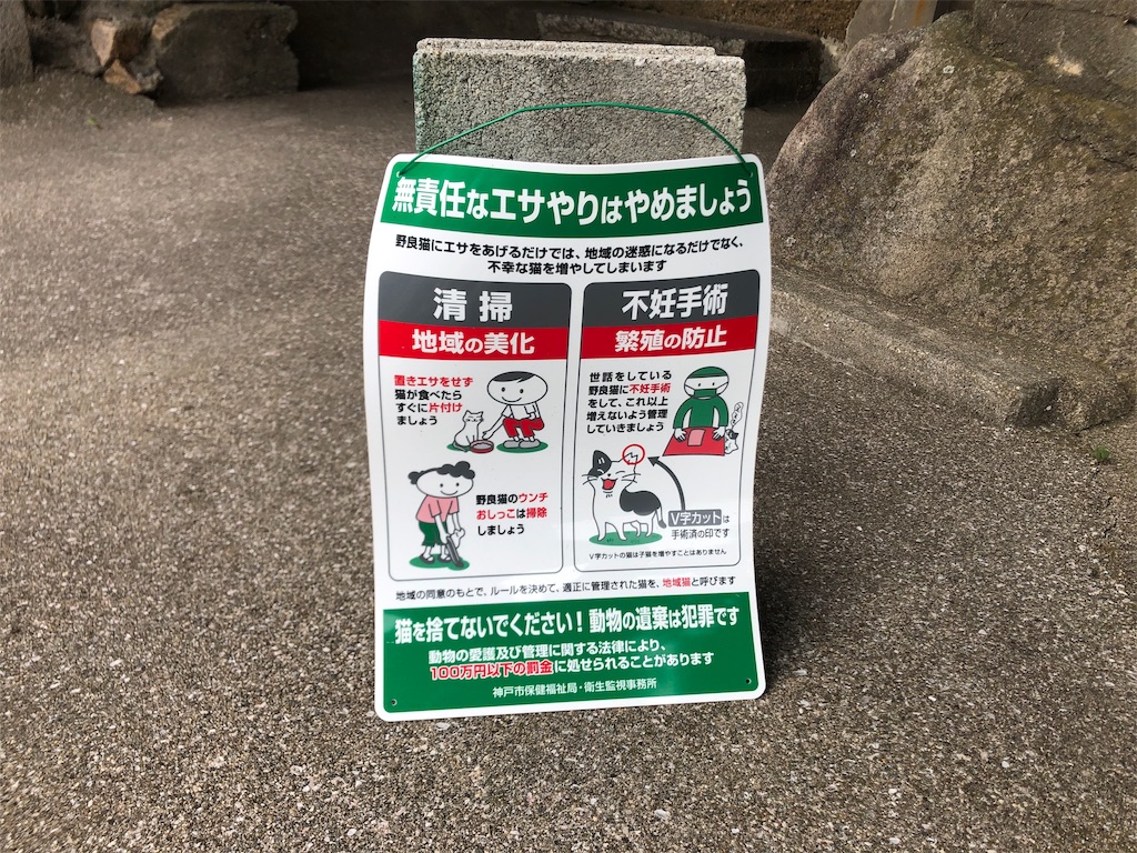 f:id:deebtomy8823:20191222095420j:image
