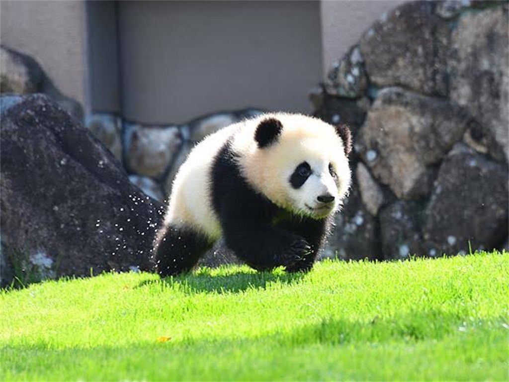 f:id:deebtomy8823:20200314205642j:image f:id:deebtomy8823:20200314205642j:image