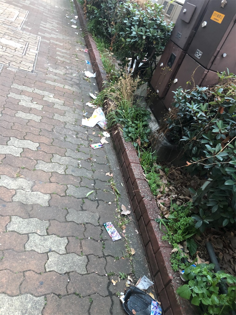 f:id:deebtomy8823:20210217180516j:image