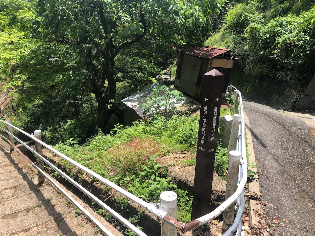 f:id:deebtomy8823:20210522173559j:image