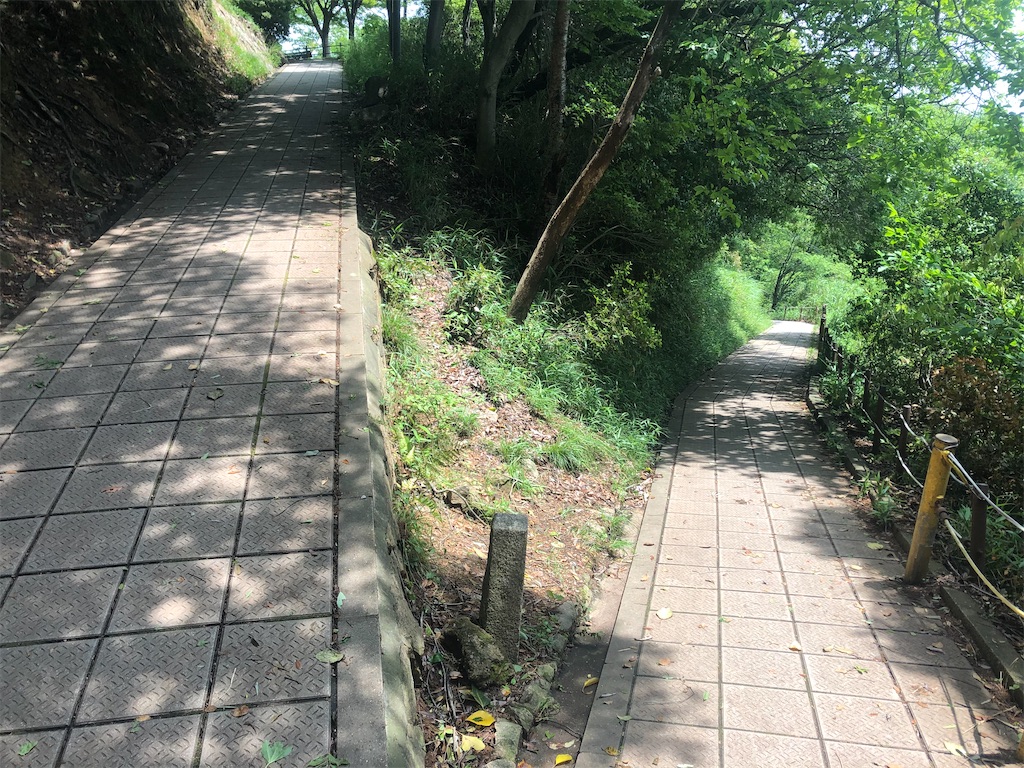 f:id:deebtomy8823:20210522191331j:image