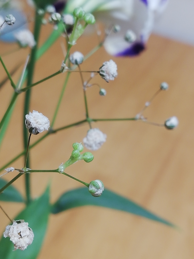 f:id:deep-blue00:20181116092314j:plain f:id:deep-blue00:20181116092314j:plain