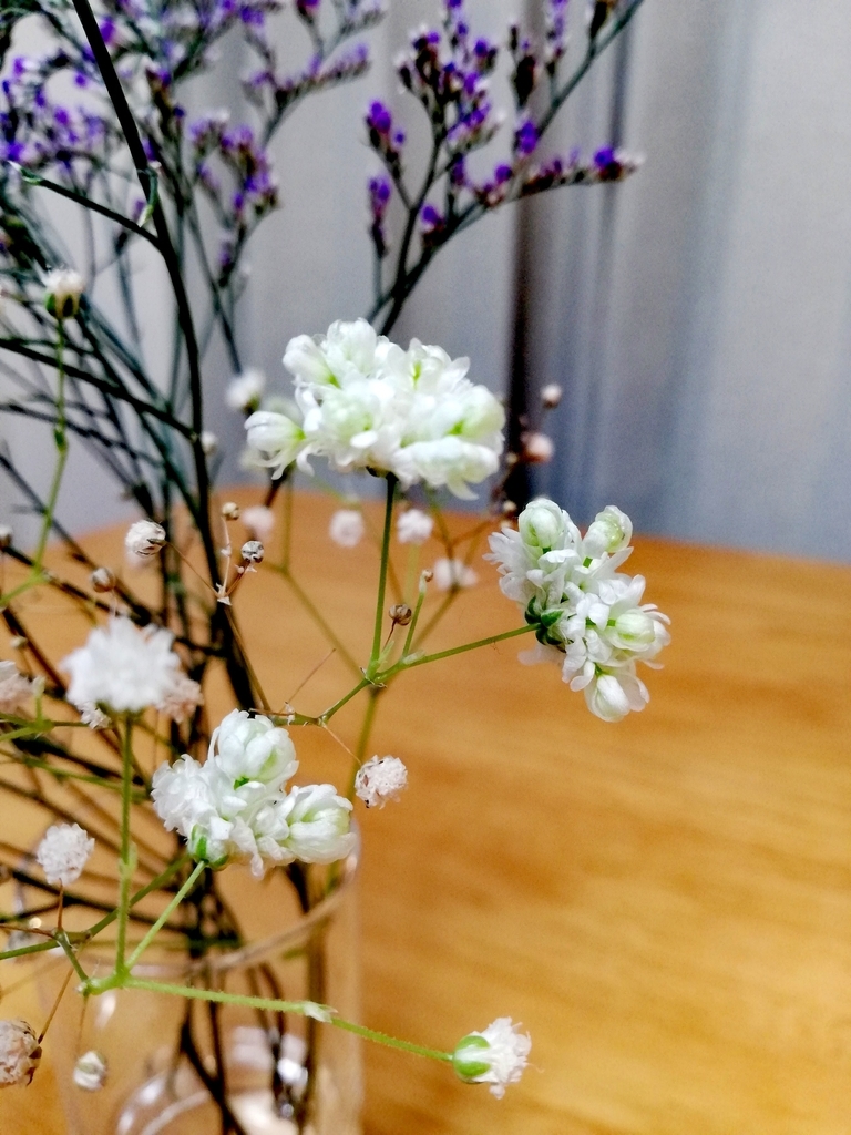 f:id:deep-blue00:20181116093250j:plain f:id:deep-blue00:20181116093250j:plain