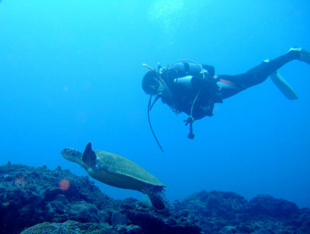 f:id:deep_in:20081005154748j:image:h120