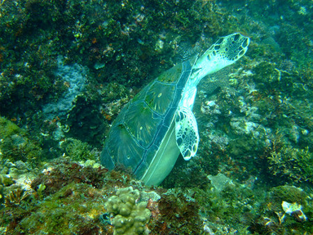 f:id:deep_in:20100823183948j:image:h150