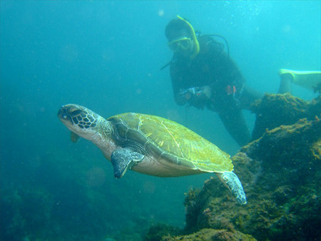 f:id:deep_in:20100825185624j:image:h150 f:id:deep_in:20100825185624j:image:h150