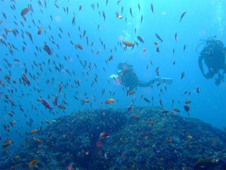 f:id:deep_in:20110626203336j:image:h150