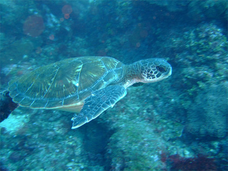 f:id:deep_in:20110626203341j:image:h150