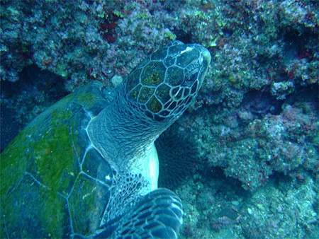 f:id:deep_in:20110626203342j:image:h150