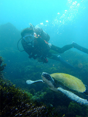 f:id:deep_in:20110626203343j:image:w50
