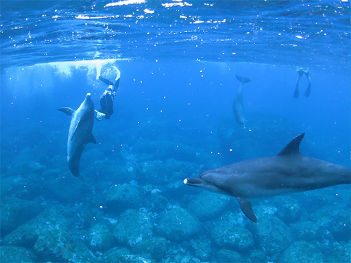 f:id:deep_in:20130805214719j:image:h150