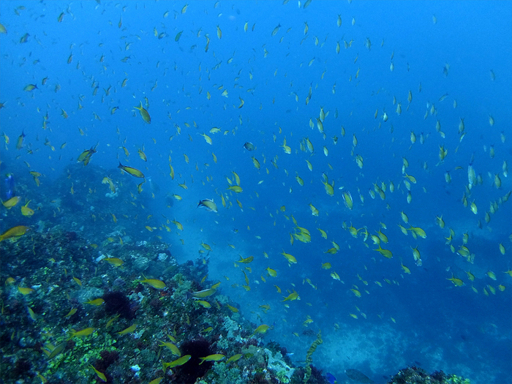 f:id:deep_in:20140616205057j:image:h150